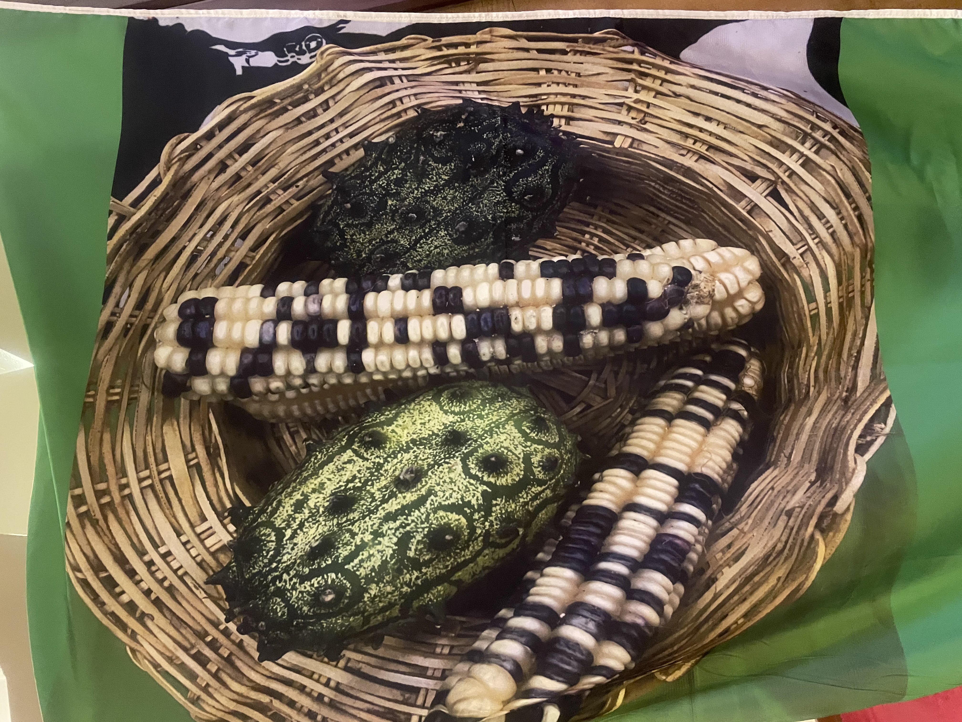 Seed saving exchange