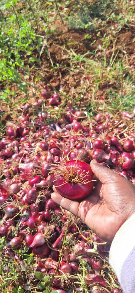 Our Agroecology Practices