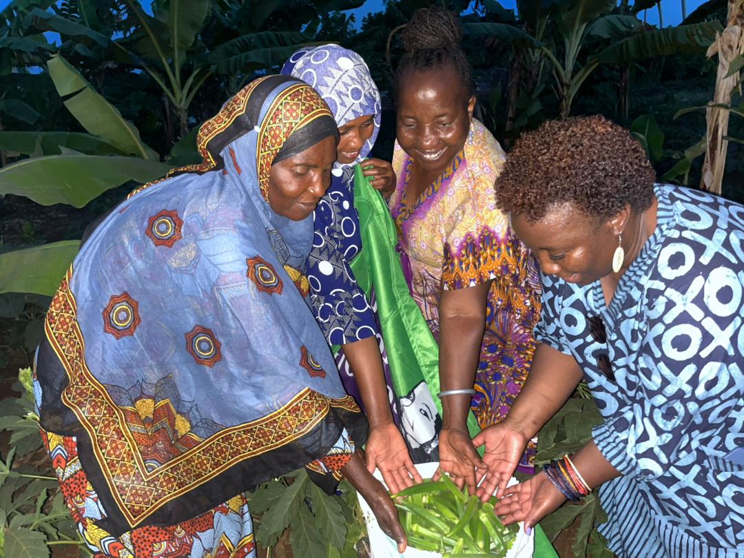 Our Agroecology Practices