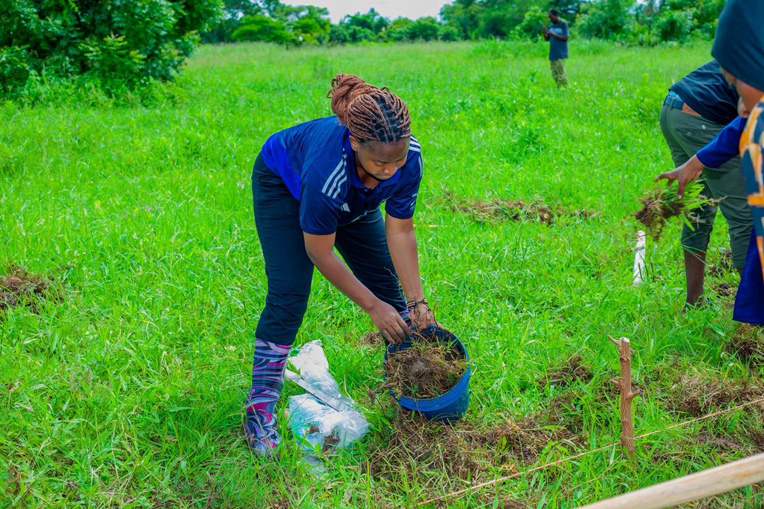 Our Agroecology Practices
