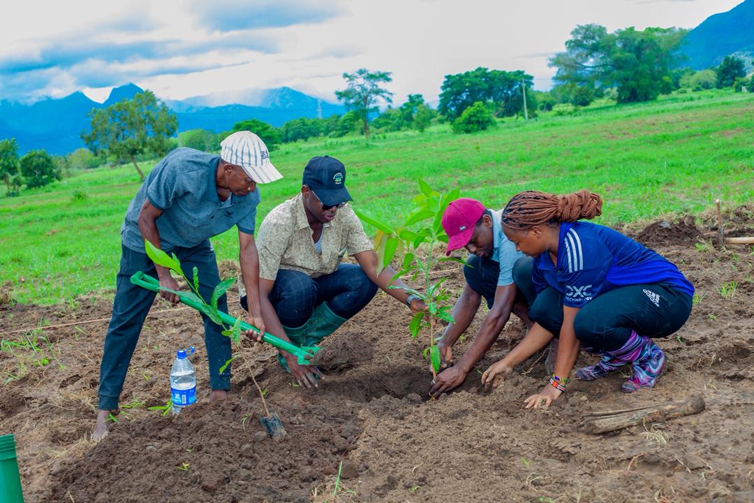 Our Agroecology Practices