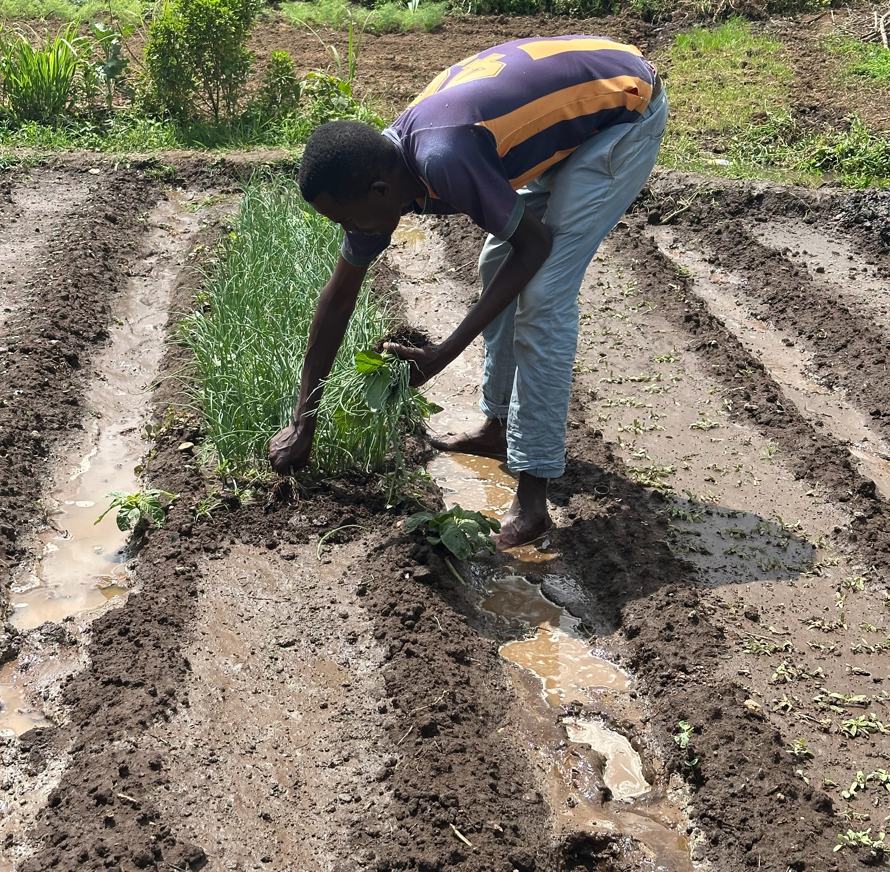 Our Agroecology Practices